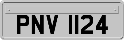 PNV1124