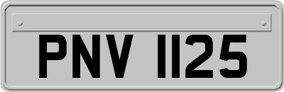 PNV1125