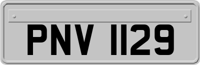 PNV1129