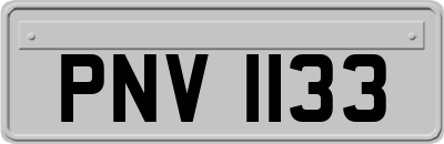PNV1133