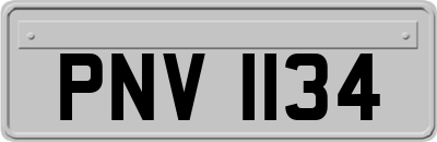 PNV1134