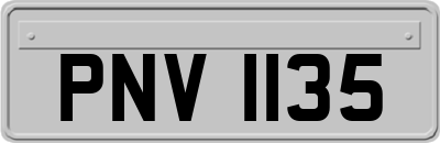 PNV1135