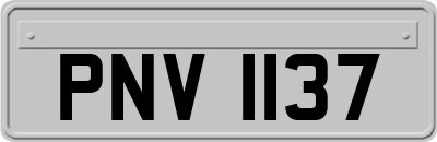 PNV1137