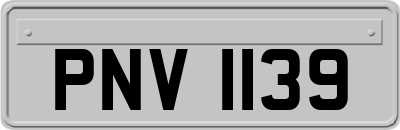 PNV1139