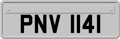 PNV1141