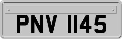 PNV1145