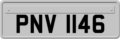 PNV1146
