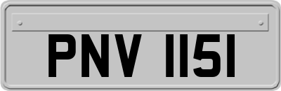 PNV1151