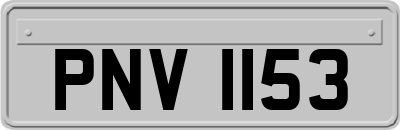 PNV1153