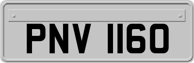 PNV1160