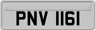 PNV1161
