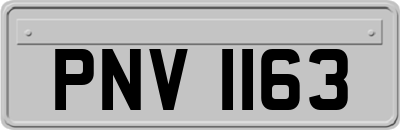 PNV1163