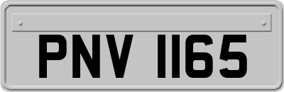 PNV1165