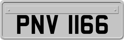 PNV1166