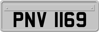 PNV1169