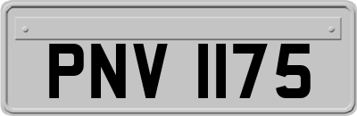 PNV1175