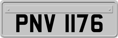 PNV1176
