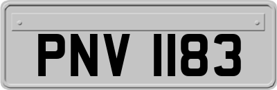 PNV1183
