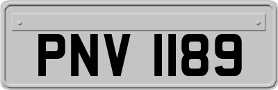 PNV1189