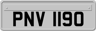 PNV1190
