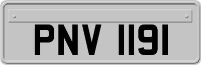 PNV1191