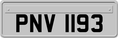 PNV1193