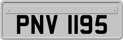 PNV1195
