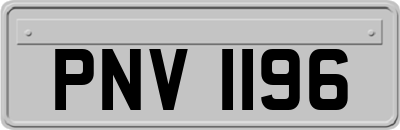 PNV1196