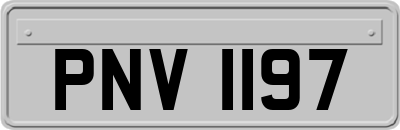 PNV1197
