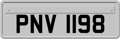 PNV1198