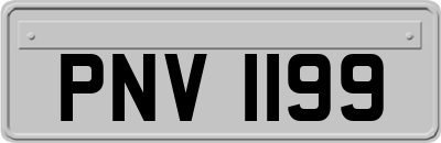 PNV1199