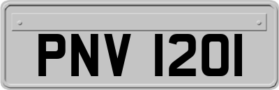 PNV1201