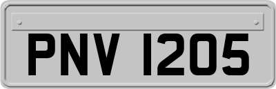 PNV1205