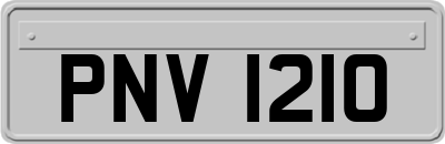 PNV1210