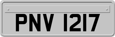 PNV1217