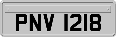 PNV1218