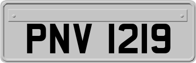 PNV1219