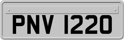 PNV1220