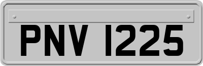 PNV1225
