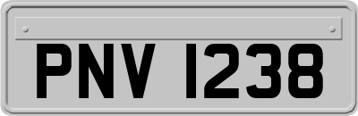 PNV1238