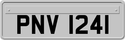PNV1241