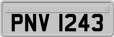 PNV1243