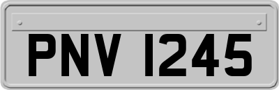 PNV1245