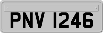 PNV1246