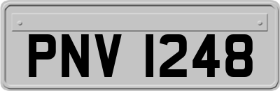 PNV1248