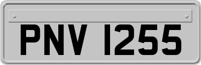 PNV1255