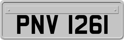 PNV1261