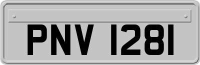 PNV1281