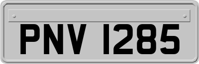 PNV1285