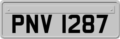 PNV1287